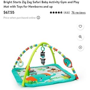 Bright starts Zig Zag Safari